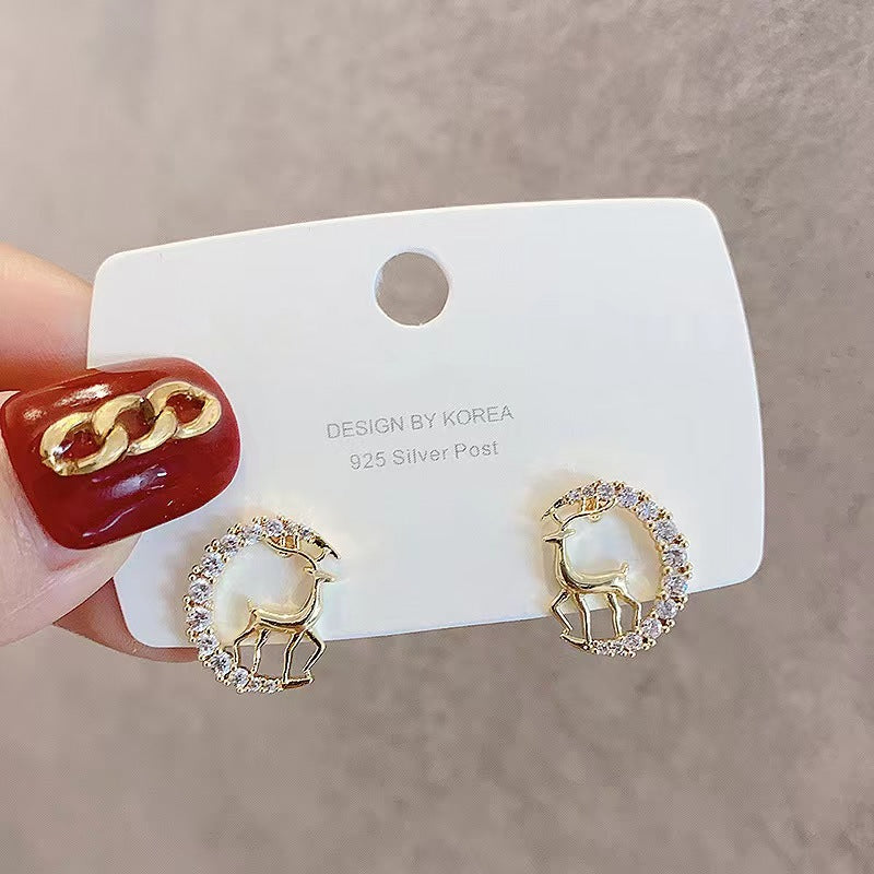 Small Exquisite Earrings