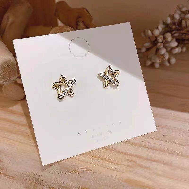 Small Exquisite Earrings