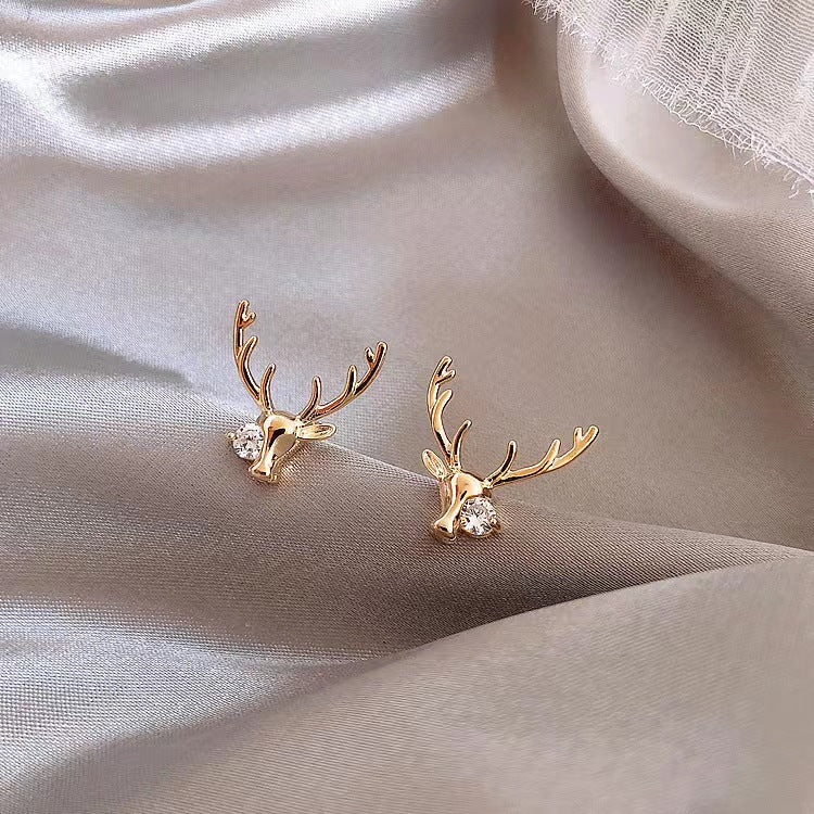 Small Exquisite Earrings