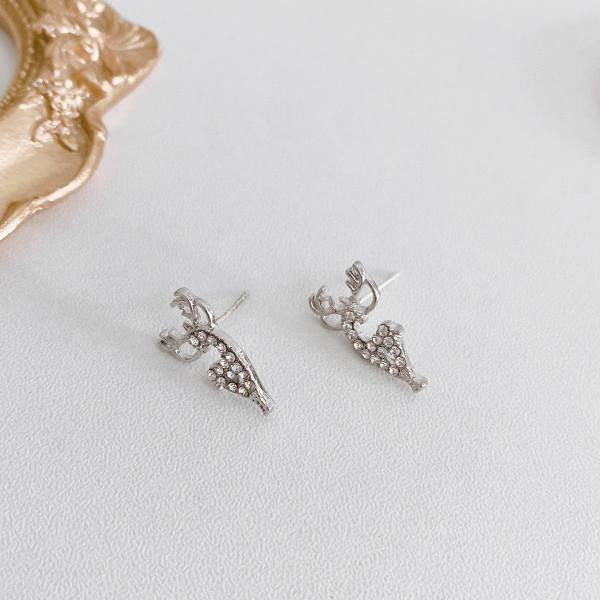 Small Exquisite Earrings